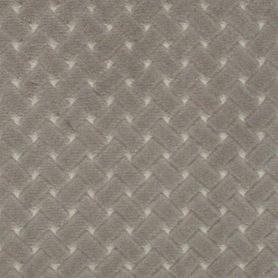 COLONY FABRICS-CL 002936433-ARGO CANESTRINO-PERLA