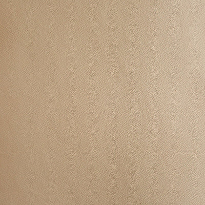 OLD WORLD WEAVERS FABRICS-DG 38580001-SCOTTISH LEATHER FR-TAMNAVULIN