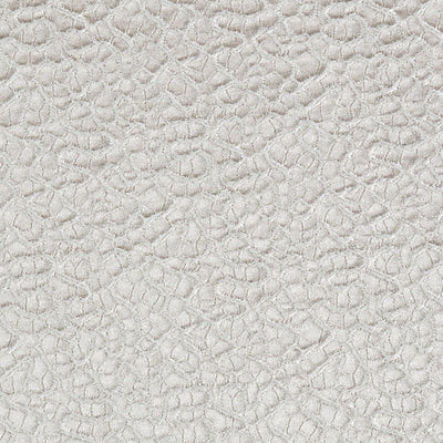 OLD WORLD WEAVERS FABRICS-F3 36068006-GALLERIA COLONNA LACE-SAND