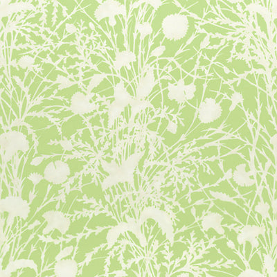 GREY WATKINS FABRICS-GW 000316623-WILDFLOWER-GRASSHOPPER