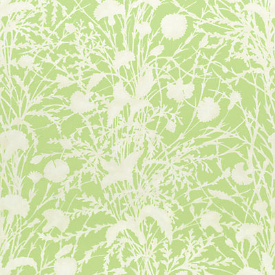 Grey Watkins Fabrics , a selection of fabrics such as velvet, damask, cotton, silk, linen and sheers.