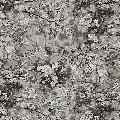Jean Paul Gaultier Fabrics , a selection of fabrics such as velvet, damask, cotton, silk, linen and sheers.