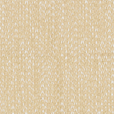 LELIEVRE FABRICS-H0 00020509-SEED-DAIM