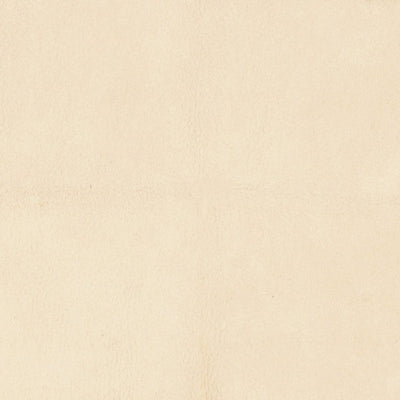 LELIEVRE FABRICS-H0 00030533-WESTERN-RIZ
