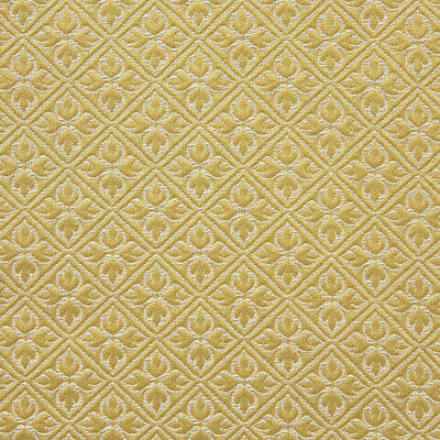 LELIEVRE FABRICS-H0 00034244-BOSQUET-MORDORE