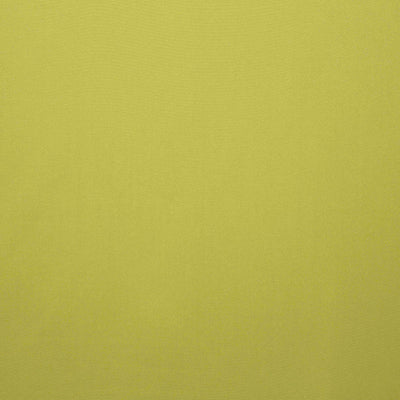 LELIEVRE FABRICS-H0 00040742-ALTO M1-TILLEUL