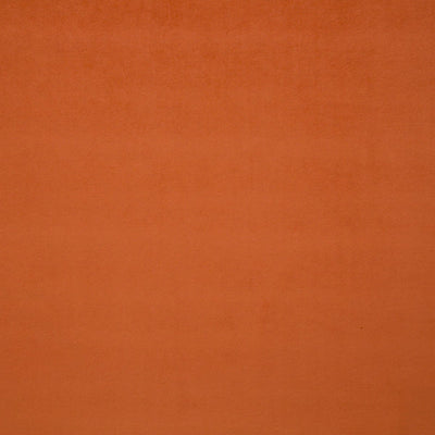 LELIEVRE FABRICS-H0 00090559-PIGMENT-ABRICOT