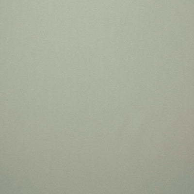 LELIEVRE FABRICS-H0 00090742-ALTO M1-PLATINE