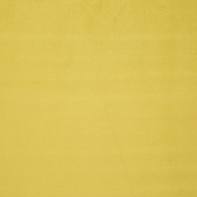 LELIEVRE FABRICS-H0 00180559-PIGMENT-MIMOSA