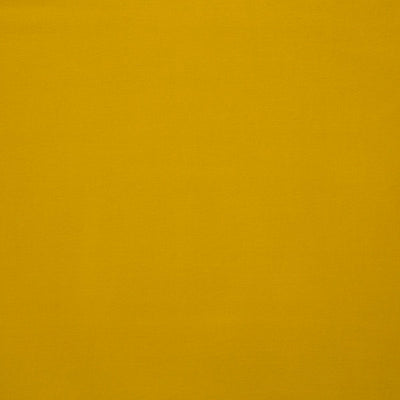 LELIEVRE FABRICS-H0 00240558-TOUCAN-POLLEN