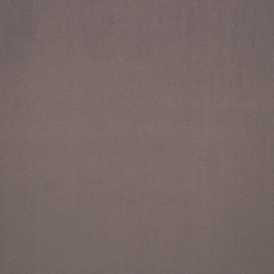 LELIEVRE FABRICS-H0 00300559-PIGMENT-CENDRE