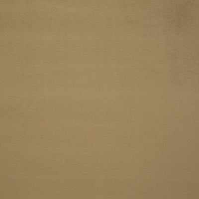 LELIEVRE FABRICS-H0 00330559-PIGMENT-MASTIC