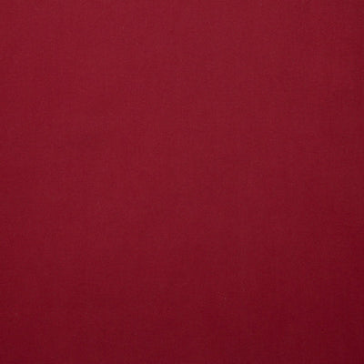 LELIEVRE FABRICS-H0 00380558-TOUCAN-CERISE
