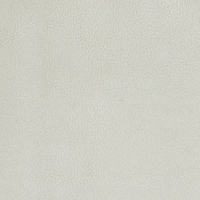 OLD WORLD WEAVERS FABRICS-H6 37415937-GEORGIA SUEDE-GESSO