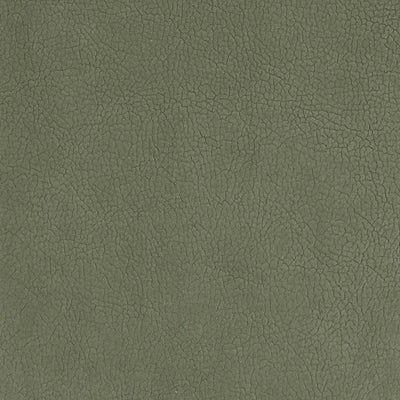 OLD WORLD WEAVERS FABRICS-H6 37545937-GEORGIA SUEDE-SAGE