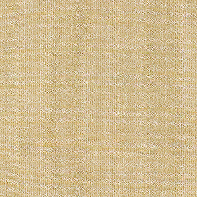 OLD WORLD WEAVERS FABRICS-IO 0003109D-FLINT-GOLD