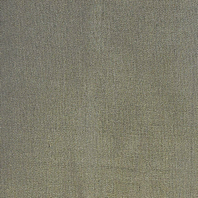OLD WORLD WEAVERS FABRICS-LB 0012214C-DUPIONI SOLIDS-MOSS
