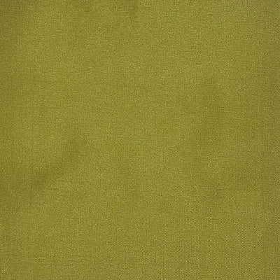 OLD WORLD WEAVERS FABRICS-LB 0219214C-DUPIONI SOLIDS-VIJAYAWADA
