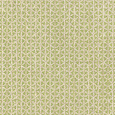 OLD WORLD WEAVERS FABRICS-NK 0003CROS-CROSS CHANNEL-SPRING GREEN