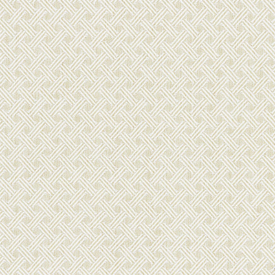 OLD WORLD WEAVERS FABRICS-NK 0008CAND-CANDELARIA-WHITE SAND