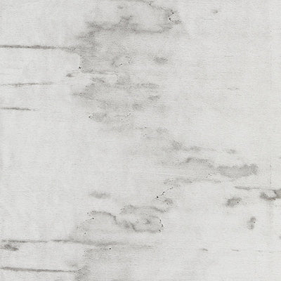 OLD WORLD WEAVERS FABRICS-RG 0001BEAR-POLAR BEAR-GREIGE