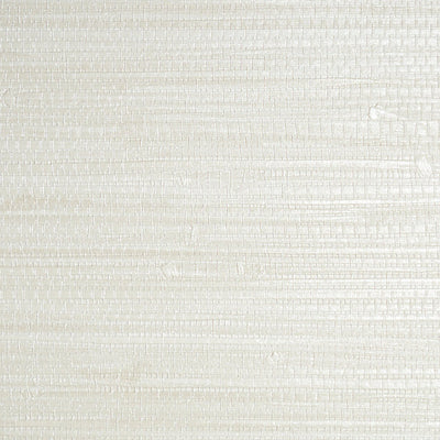 SCALAMANDRE WALLCOVERING-SC 0000WP88438-PAMPAS-WHITEWASH