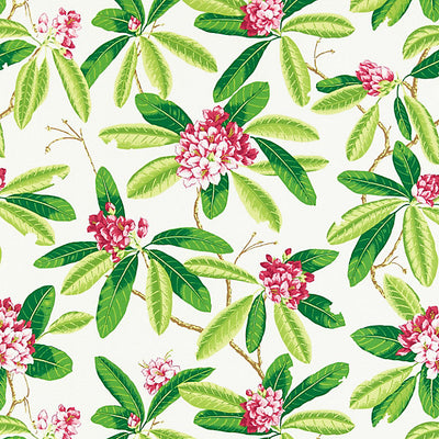 Scalamandre Fabrics - Rhododendron - Outdoor - SC 000116454M