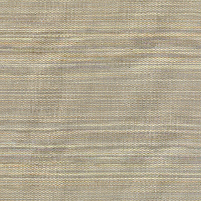 SCALAMANDRE WALLCOVERING-SC 0001WP88347-SHANTUNG GRASSCLOTH-DOVE