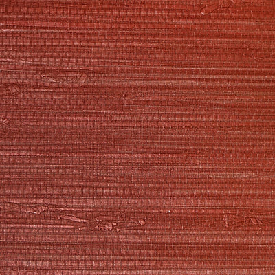 SCALAMANDRE WALLCOVERING-SC 0001WP88438-PAMPAS-RED OCHRE