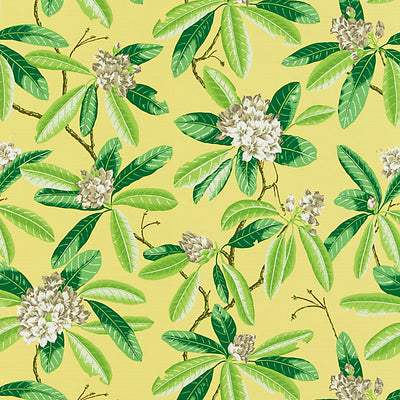 Scalamandre Fabrics - Rhododendron - Outdoor - SC 000216454M