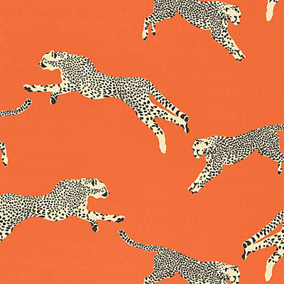 Scalamandre Fabrics, Scalamandre  Fabrics,a selection of fabrics such as velvet, damask, cotton, silk, linen and sheers.