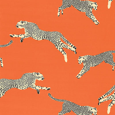 Scalamandre Fabrics - Leaping Cheetah Cotton Print - SC 000216634