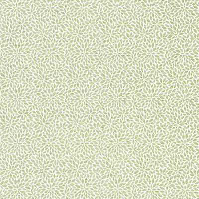 SCALAMANDRE FABRICS-SC 000227239-RISA WEAVE-FERN