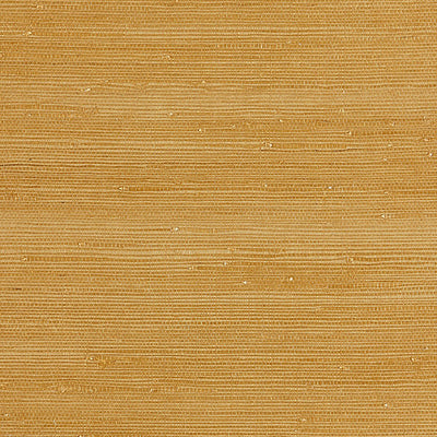 SCALAMANDRE WALLCOVERING-SC 0002WP88343-TEXTURED SISAL-SAFFRON