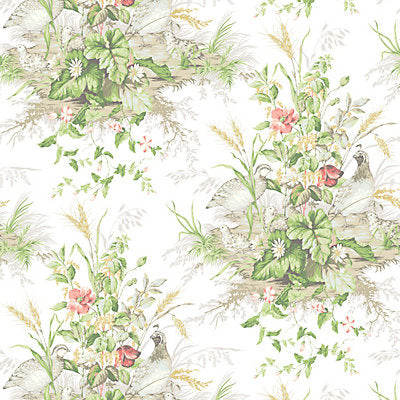 Scalamandre Wallcovering, a selection of wallpaper such as Bird , Animal/Insect,Botanical , Foliage,Historic,Scenic.