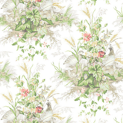 SCALAMANDRE WALLCOVERING-SC 0002WP88434-EDWIN'S COVEY-PRAIRIE