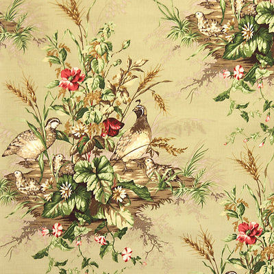 SCALAMANDRE FABRICS-SC 000316310-EDWIN'S COVEY-MULTI ON WILLOW