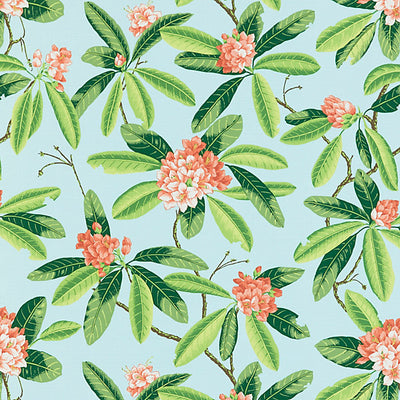 Scalamandre Fabrics - Rhododendron - Outdoor - SC 000316454M