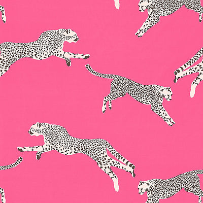 Scalamandre Fabrics - Leaping Cheetah Cotton Print - SC 000316634