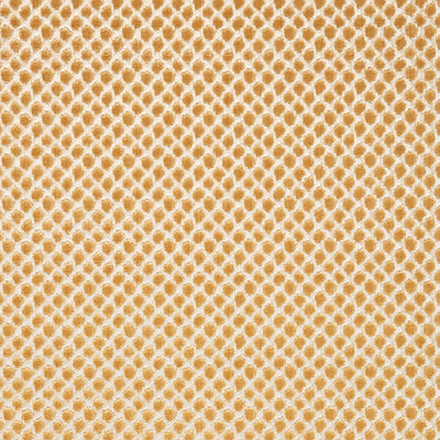 SCALAMANDRE FABRICS-SC 000327022-ETOSHA VELVET-PALOMINO