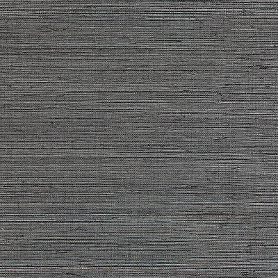 SCALAMANDRE WALLCOVERING-SC 0003WP88338-METAL SISAL-PEWTER