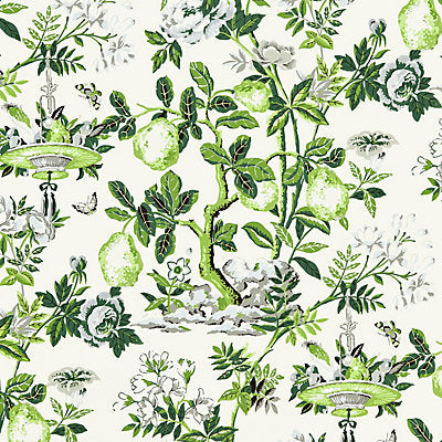 Scalamandre Wallcovering, a selection of wallpaper such as Bird , Animal/Insect,Botanical , Foliage,Chinoiserie,Floral.