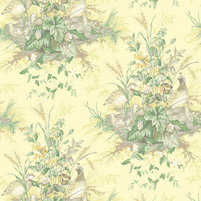SCALAMANDRE WALLCOVERING-SC 0003WP88434-EDWIN'S COVEY-SUNLIT