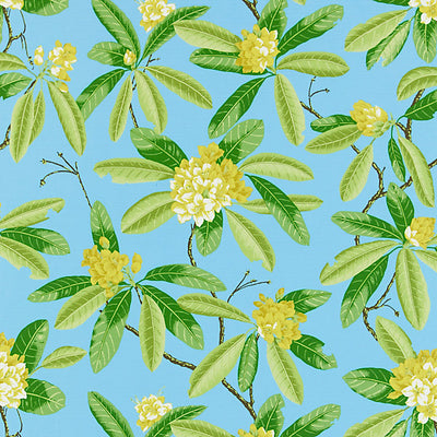 Scalamandre Fabrics - Rhododendron - Outdoor - SC 000416454M