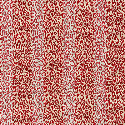 Scalamandre Fabrics , a selection of fabrics such as velvet, damask, cotton, silk, linen and sheers.
