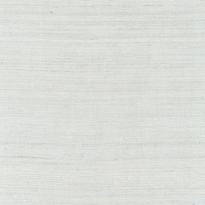 SCALAMANDRE FABRICS-SC 000427156-TUSSAH SHEER-MINERAL