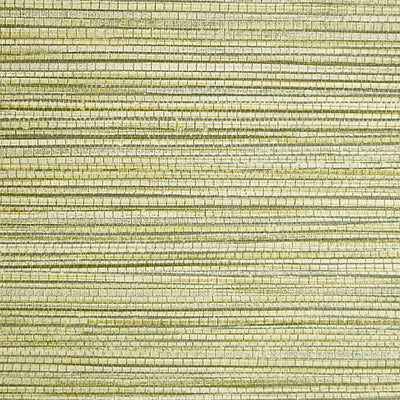 SCALAMANDRE WALLCOVERING-SC 0004WP88441-WILLOW WEAVE-GRASS