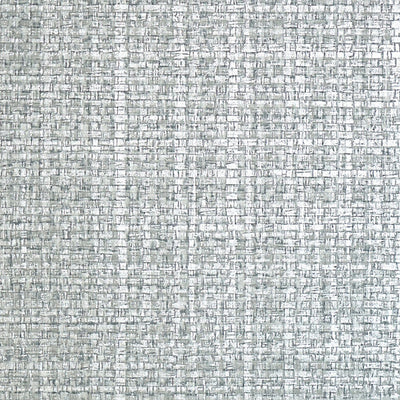 SCALAMANDRE WALLCOVERING-SC 0004WP88443-JUTE-BLUE MICA