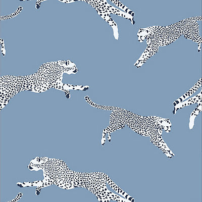 Scalamandre Wallcovering, a selection of wallpaper such as Bird , Animal/Insect.