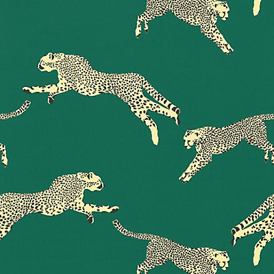 Scalamandre Fabrics, Scalamandre  Fabrics,a selection of fabrics such as velvet, damask, cotton, silk, linen and sheers.